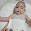 한국산소 | 제이앤제나 역방쿠 각도 산소형제 소송 및 사용후기