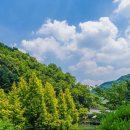공주공원 공주공원 주차장 우측 이미지