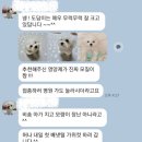 더멍멍 충주점 이미지