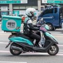 하지몰 이미지