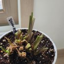 새순약국 이미지