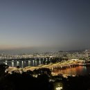 라이언의보물섬 이미지