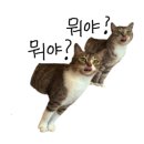 우짬뽕