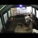 https://www.youtube.com/watch?v=Vy8LTq9ja0g 이미지