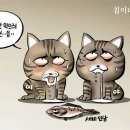 만평연합의원 이미지