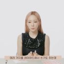민트젤리 이미지
