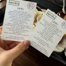 중앙로가로수 | 분위기 좋은 대전 중앙로 카페 대전 카이막 카페 커닝 Kerning