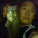 대박피시 이미지