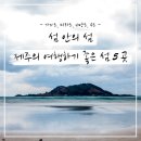 제주도 한라산 철쭉(1무2박3일)산행 안내(6월3일~6일) 이미지