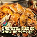 1186 | 주말 아이와 다녀온 노원 가족모임 맛집 노원 쿠우쿠우 골드 주차 및 네이버 예약 후기