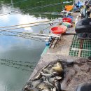 방아실낚시터 이미지