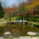 강경원 농장 | 경기도 용인 가을 여행지 여행의정답 투어용인 용인시청 초청 여행블로거기자단 팸투어