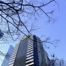 (주)드림체인 | [하나증권 하나드림 서포터즈 3기] WEEK 5