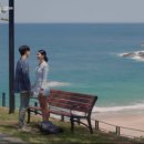 고성 중앙일보