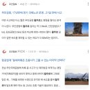 무안공항 관련 조선일보 1년전기사 vs 현재기사 . jpg 이미지