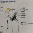 스트레칭포인트 네이버블로그