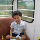 나비랜드 Daum카페