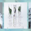 에코바이오 이미지