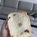 찐 제빵사의 소금빵&식빵 리얼 후기:부엉이네빵