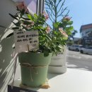 더벤티순천왕지점