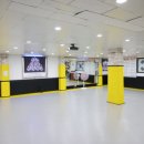 용인대 석사 타이거즈 태권도장 이미지