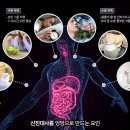 “전혀 몰랐는데” 매일 하는 ‘이것’, 내 신진대사 엉망으로 만들어 이미지