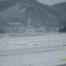 신송산2구 Daum카페