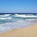 커피여행 이미지