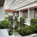 22 | 방콕 가성비 호텔 아속역 아라와나 리젠시 파크 수쿰빗22 후기