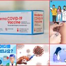 부흥종묘농약사 이미지