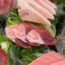 미성참치 이미지