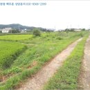 판정천 이미지