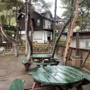 위드오션1 이미지