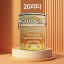 스테인20