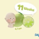 세인트여성의원 | [임신 11~12주차] 입덧의 절정과 끝! 목투명대 및 니프티검사 후기(젠더리빌까지...)