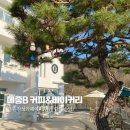 진주 감성 카페, 메종 B에서 힐링하러 갔다가 깜짝 손님(?) 만났어요!!