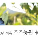주주농원