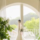 토탈 스튜디오 솔직 진심 100% 촬영 후기 chapter 20 풀과 나무 그리고 아치배경 (26년 4월 22일 AM10시...