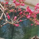 역촌동 19-53 이미지