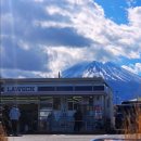 횡단보도 부근 | 🇯🇵일본 도쿄 후지산 1일 투어 후기!(in 일본).3