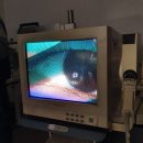 이노티안경콘택트 이미지