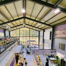 야은로-19 이미지