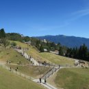 동양농장 이미지