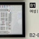 소이주니어.리틀밥독