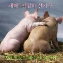 2월 6일(수) 어릴적 고향에 이미지