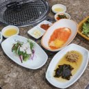 언양셀프 이미지