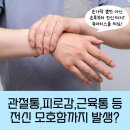 연세편한마디내과 이미지