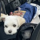 강남대로6길 12 이미지