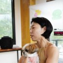 DOGRANG 네이버블로그