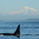 STEP(training center) 이미지